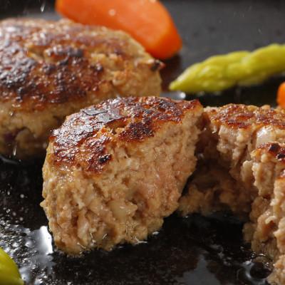 ふるさと納税 彦根市 [毎月定期便]近江牛A5と国産豚肉の手ごねハンバーグ10個入全12回