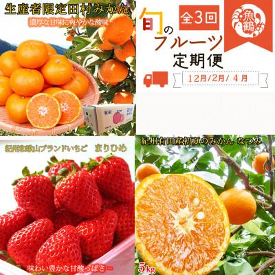 ふるさと納税 美浜町 [発送月固定定期便]紀州和歌山産旬のフルーツセット(田村みかん・いちご・なつみ)全3回