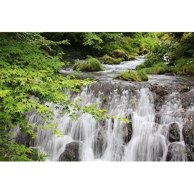 ふるさと納税 由布市 【2ヵ月毎定期便】天然炭酸水　Silica99　500ml×24本全3回_3
