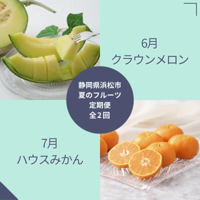 ふるさと納税 浜松市 [発送月固定定期便][2026年6月より順次発送]静岡県浜松市『夏』のフルーツ定期便 全2回