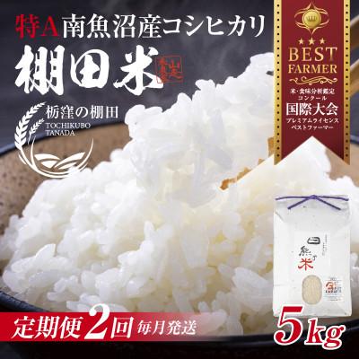 ふるさと納税 南魚沼市 【毎月定期便】【産地限定 棚田米】 新潟県