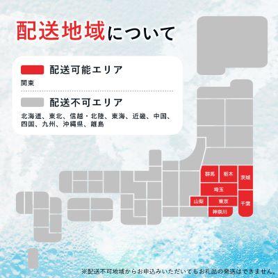 ふるさと納税 山梨市 【毎月定期便】【関東のみお届け】強炭酸水1L12本 計12L サーフVOLT(ボルト)1L 全12回の画像