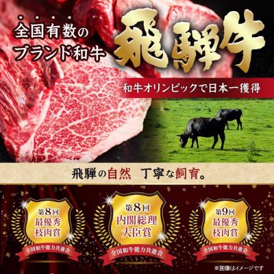 ふるさと納税 羽島市 【毎月定期便】飛騨牛 極定期便 計12.9kg【冷蔵便】A4〜A5カテゴリー化 シャトーブリアンほか全12回