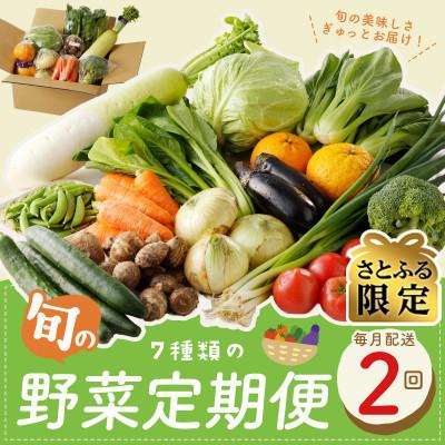 ふるさと納税 泉佐野市 [毎月定期便][さとふる限定]新鮮野菜 7種類以上 詰め合わせ 全2回