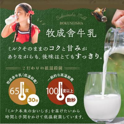 ふるさと納税 飛騨市 【毎月定期便】飛騨の牛乳屋・牧成舎の飛騨産生乳100%!低温殺菌牛乳3本&のむヨーグルト2本全6回