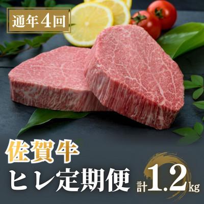 ふるさと納税 有田町 [発送月固定定期便]佐賀牛 ヒレステーキ300g(2枚合計)[希少部位のフィレをお届け]全4回
