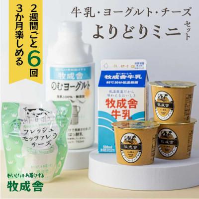 ふるさと納税 飛騨市 [2週間毎定期便]牧成舎・乳製品ミニセット全6回
