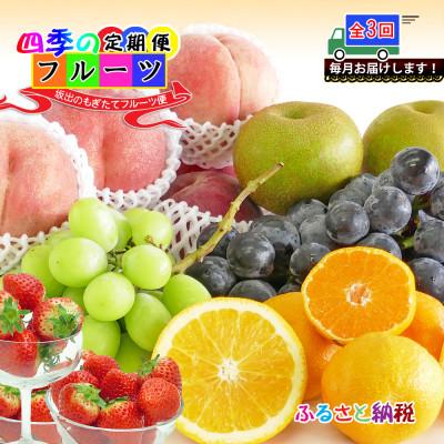 ふるさと納税 坂出市 [毎月定期便]創業100年の老舗が選んだ厳選フルーツの詰め合わせ[プレミア便]全3回