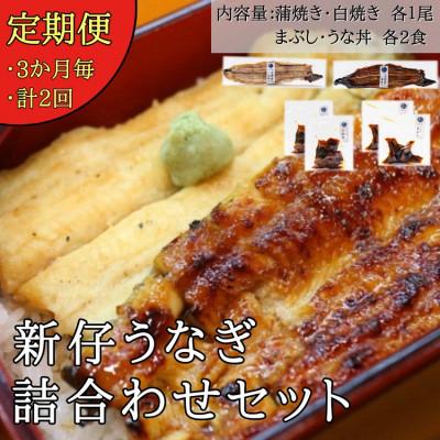 ふるさと納税 蟹江町 [3ヵ月毎定期便]国産 新仔うなぎ詰め合わせセット全2回