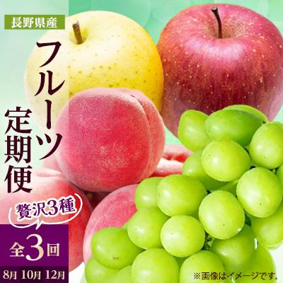 ふるさと納税 中野市 【発送月固定定期便】2026年発送 長野の果物 桃+