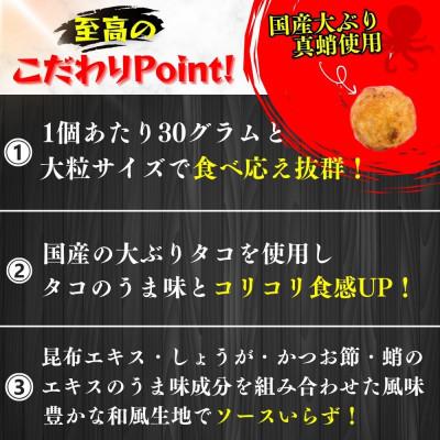 ふるさと納税 豊前市 【毎月定期便】国産真蛸使用 こだわりの冷凍たこ焼き!(15個入1袋)全12回_1