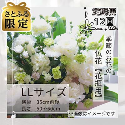 ふるさと納税 筑西市 [毎月定期便][さとふる限定]季節のお花で束ねた仏花[花瓶用]/LLサイズ全12回