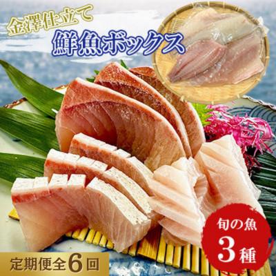 ふるさと納税 五島市 [毎月定期便]五島市産 旬の魚 3種セット[金沢鮮魚]全6回