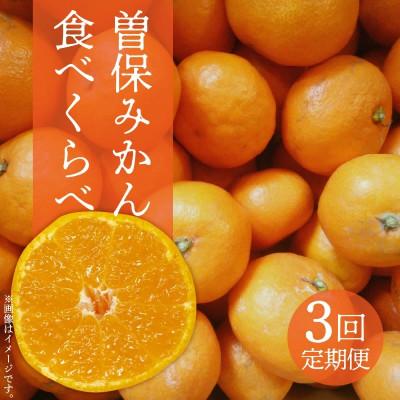 ふるさと納税 三豊市 [発送月固定定期便]曽保みかん食べくらべ全3回