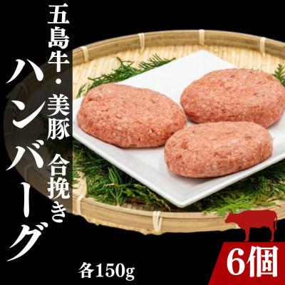 ふるさと納税 五島市 [毎月定期便]五島牛・美豚粗挽きハンバーグ6個(各約150g)全6回