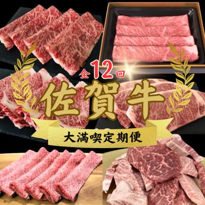 ふるさと納税 江北町 [毎月定期便]佐賀牛 大満喫定期便全12回