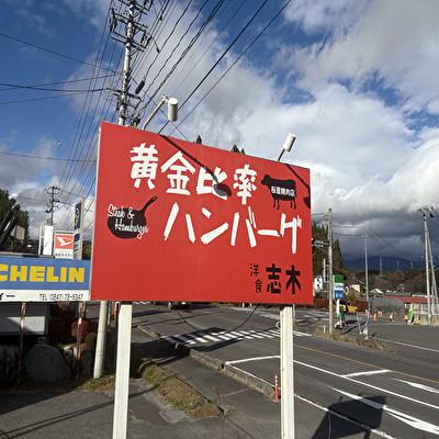 ふるさと納税 小野町 【毎月定期便】まちの洋食屋さんのハンバーグ10個入り【3ヶ月】全3回_3