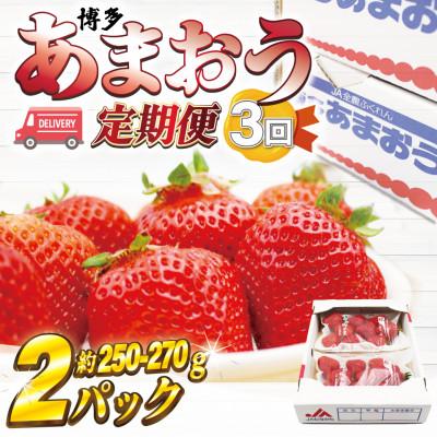 ふるさと納税 春日市 [発送月固定定期便]博多あまおう (250g-270g)×2パック(春日市)全3回