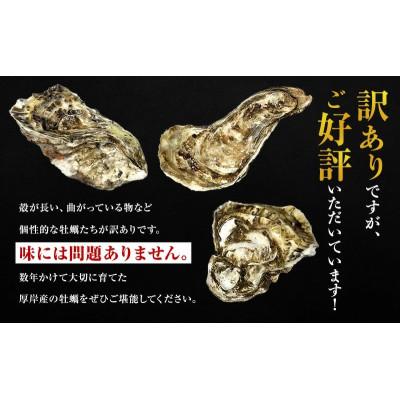 ふるさと納税 厚岸町 【発送月固定定期便】THE訳ありオイスター 約4kg 北海道厚岸産ブランド牡蠣「マルえもん」全4回_2