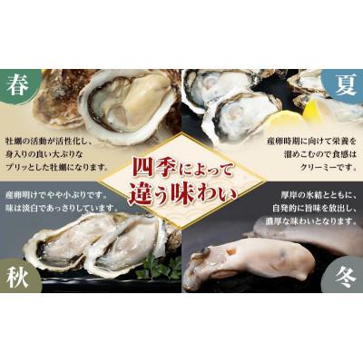 ふるさと納税 厚岸町 【発送月固定定期便】THE訳ありオイスター 約4kg 北海道厚岸産ブランド牡蠣「マルえもん」全4回_3