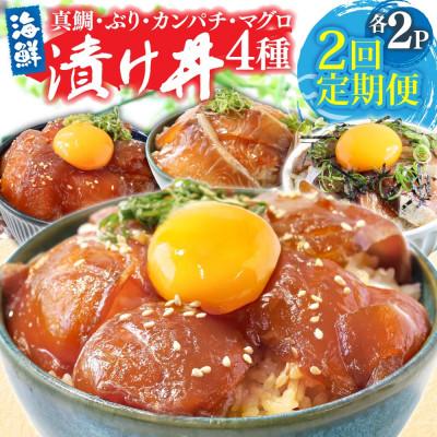 ふるさと納税 芸西村 [毎月定期便]高知の海鮮漬け丼4種(真鯛・ブリ・カンパチ・マグロ)各2パック[t277kyf]全2回