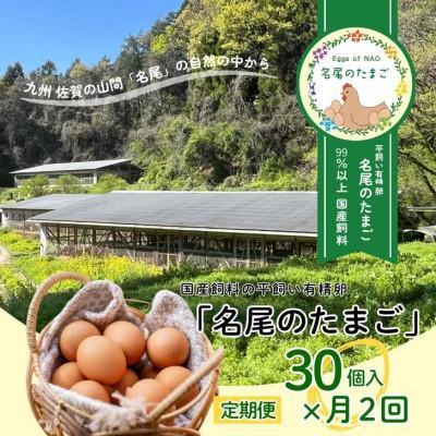 ふるさと納税 佐賀市 [2週間毎定期便]国産飼料の平飼い有精卵30個入「名尾のたまご」全24回