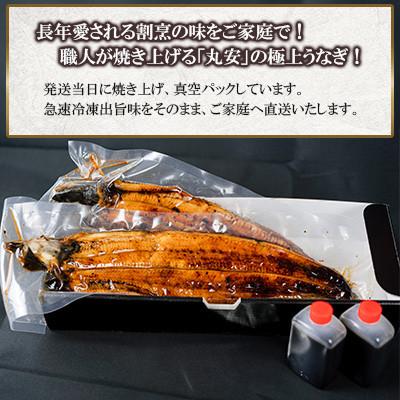 ふるさと納税 吉野ヶ里町 【毎月定期便】国産うなぎ蒲焼・白焼3枚セット(うなぎ蒲焼2枚・白焼1枚)(約540g)全3回_2