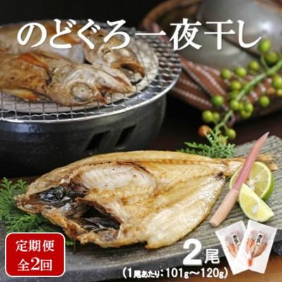 ふるさと納税 大田市 [毎月定期便]のどぐろ一夜干し 2尾(1尾あたり101〜120g)全2回