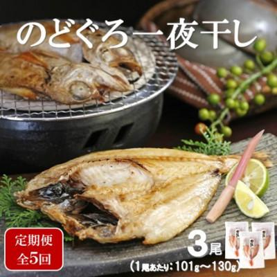 ふるさと納税 大田市 [毎月定期便]のどぐろ一夜干し3尾(1尾:101g〜130g)全5回