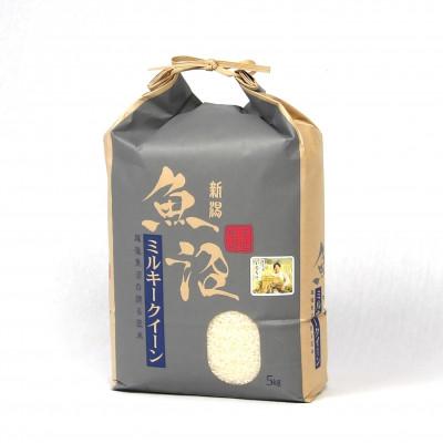 ふるさと納税 魚沼市 [毎月定期便]魚沼産特別栽培ミルキークイーン 精米5kg全5回