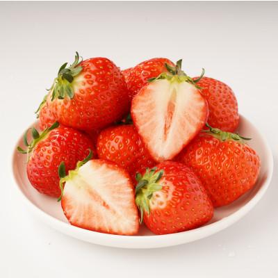 ふるさと納税 観音寺市 [発送月固定定期便]観音寺市フルーツ定期便全3回