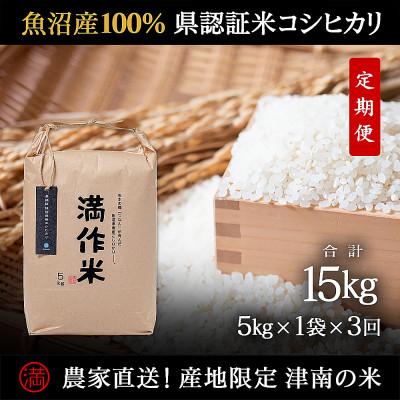 ふるさと納税 津南町 [毎月定期便]県認証特別栽培魚沼産コシヒカリ5kg (5kg×1袋)×3回 合計15kg全3回
