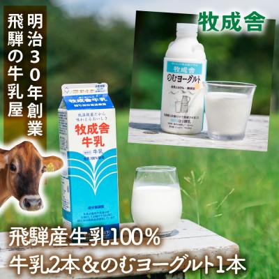 ふるさと納税 高山市 [2週間毎定期便]牧成舎牛乳2本&amp;のむヨーグルト1本全6回