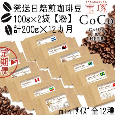 ふるさと納税 宝塚市 [毎月定期便][宝塚]12ヶ月の定期便Zmini[粉](発送日自家焙煎珈琲豆・全12種)全12回