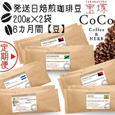 ふるさと納税 宝塚市 [毎月定期便][宝塚]6ヶ月の定期便[豆](発送日自家焙煎珈琲豆・全6種 計2400g)全6回