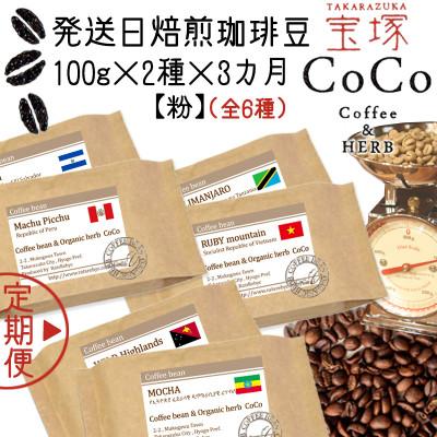 ふるさと納税 宝塚市 [毎月定期便][宝塚]miniサイズ3ヶ月定期便C[粉](当日自家焙煎珈琲6種 計600g)全3回