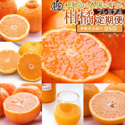 ふるさと納税 広川町 [発送月固定定期便]厳選 柑橘定期便S(奇数月)全6回