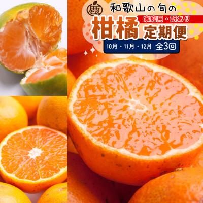 ふるさと納税 広川町 [発送月固定定期便]家庭用 柑橘定期便S(10〜12月)全3回