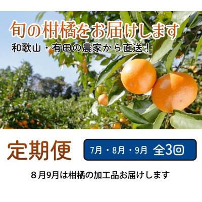 ふるさと納税 広川町 【発送月固定定期便】家庭用 柑橘定期便M(7〜9月)全3回の画像