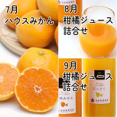 ふるさと納税 広川町 【発送月固定定期便】家庭用 柑橘定期便M(7〜9月)全3回の画像