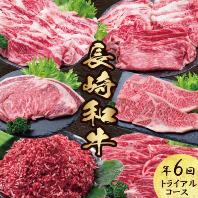 ふるさと納税 南島原市 [発送月固定定期便]長崎和牛 トライアルコース 計3.4kg 牛肉バラエティ定期便全6回