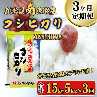 ふるさと納税 南魚沼市 [毎月定期便]南魚沼産コシヒカリ(精米) 5kg全3回