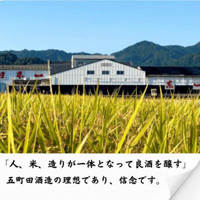 ふるさと納税 嬉野市 【毎月定期便】東一 純米吟醸 1.8L 1本全12回の画像