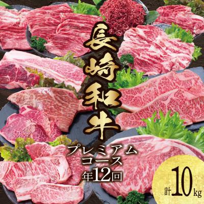 ふるさと納税 南島原市 [発送月固定定期便]長崎和牛 プレミアムコース 計10kg 牛肉バラエティ定期便全12回