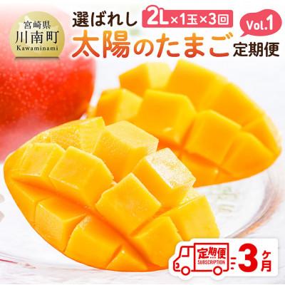 ふるさと納税 川南町 [発送月固定定期便]選ばれし太陽のたまご定期便Vol.1全3回