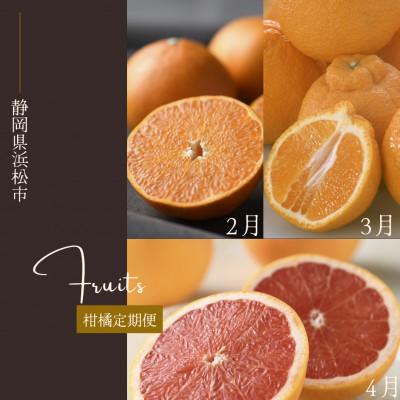 ふるさと納税 浜松市 [発送月固定定期便]<2027年2月〜4月発送>静岡県浜松市の柑橘全3回