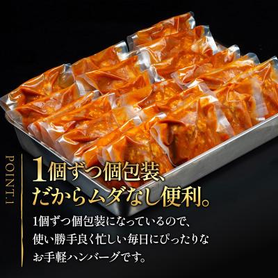 ふるさと納税 利府町 【毎月定期便】昔懐かしいトマト系デミグラスソースハンバーグ(160g×8個)全6回_1