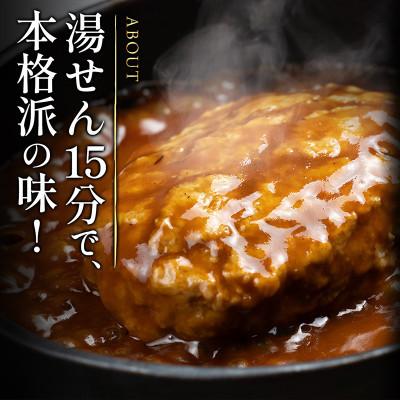 ふるさと納税 利府町 【毎月定期便】昔懐かしいトマト系デミグラスソースハンバーグ(160g×8個)全6回_2