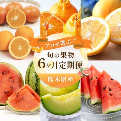 ふるさと納税 熊本市 [発送月固定定期便]旬の果物[2026年2月〜7月発送予定]全6回