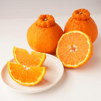 ふるさと納税 三豊市 [発送月固定定期便]三豊市を家族で味わう定番フルーツ全12回